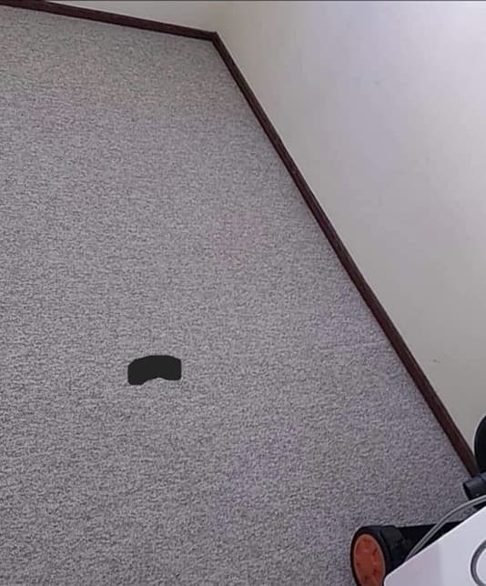 Alfombra — Sanitización de alfombras y colchones